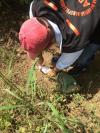 Semana de Educao Ambiental e Fiscalizao Para Manuteno do Ambient