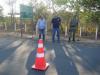 Fiscalizaes Volante da Defesa Vegetal em Amarante e Guadalupe