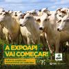 EXIGNCIAS ZOOSSANITRIAS EXPOAPI.