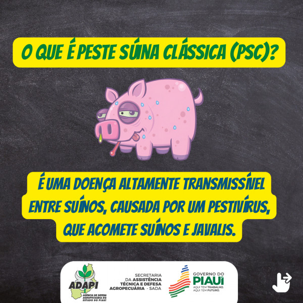 o que  PSC?