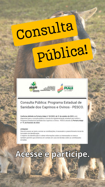 consulta pblica pesco