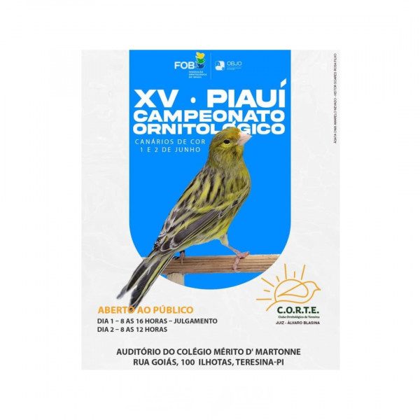 xv campeonato ornitologico teresina3