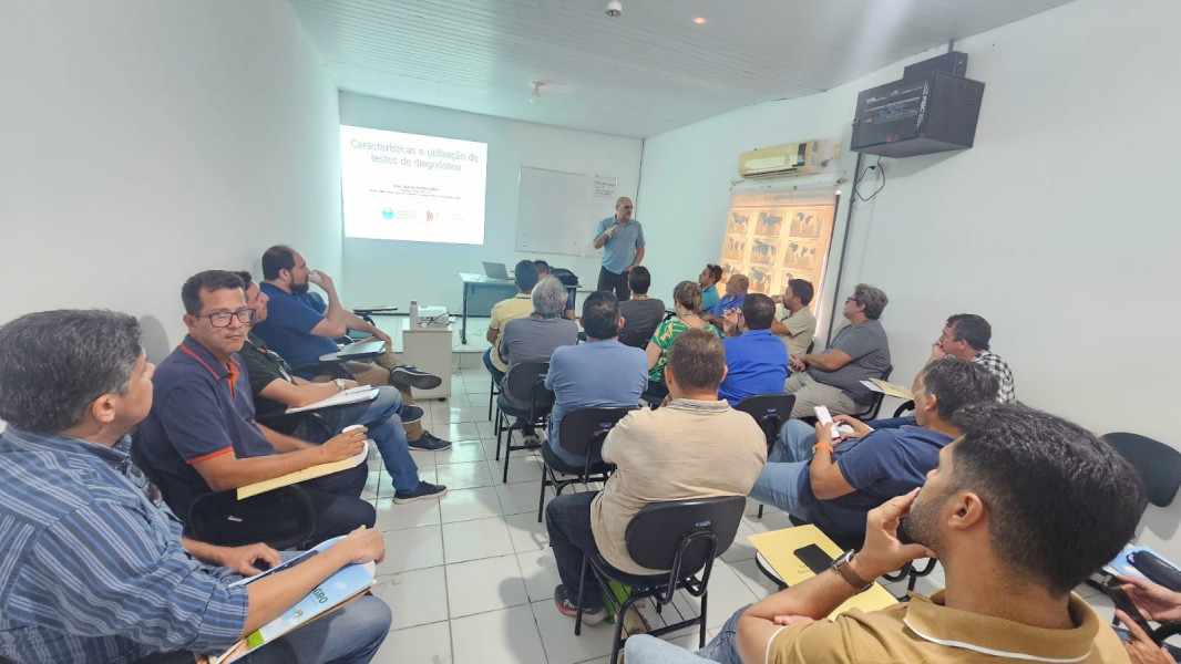 CURSO BRUCELOSE4