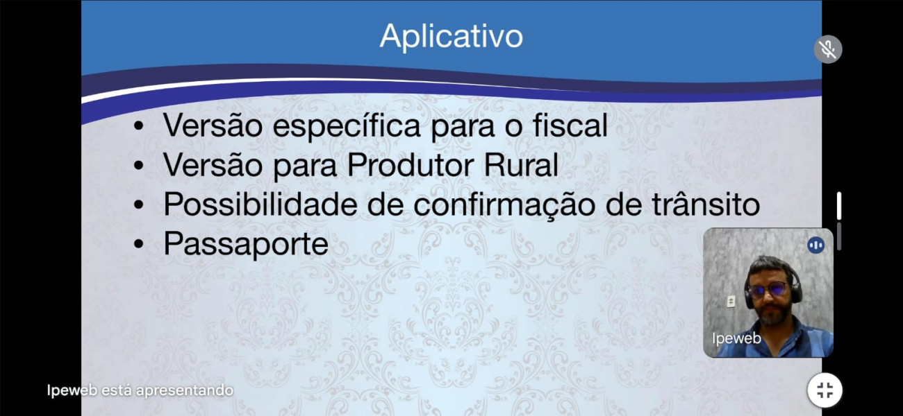 IPEWEB1