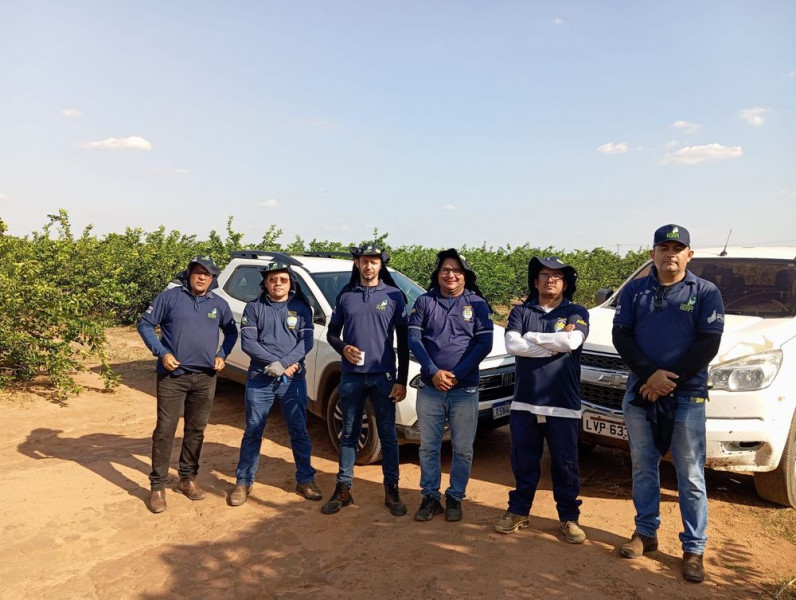 Equipe de fiscais da Adapi no levantamento da praga