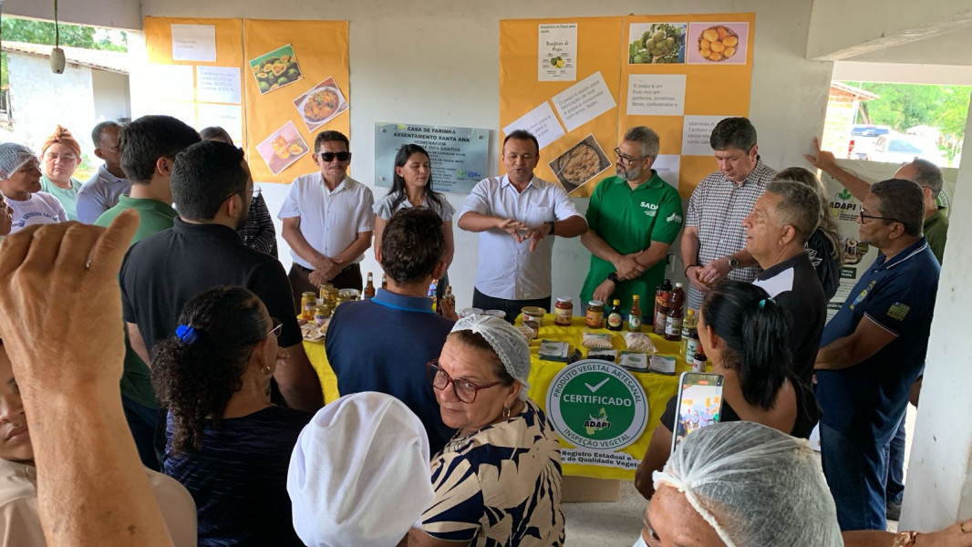 curso capito de campo 3