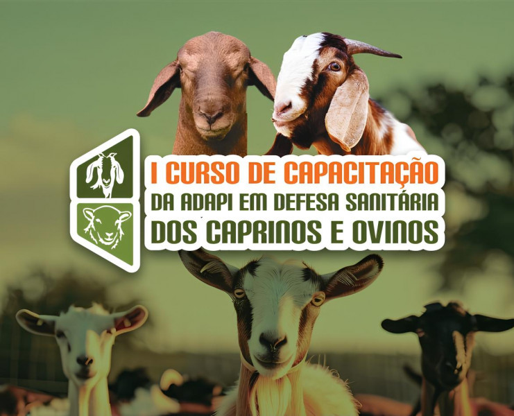 capacitao caprinos e ovinos